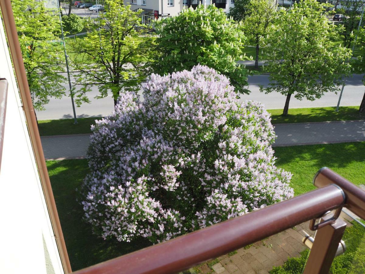 Roman Druskininkai Exteriör bild